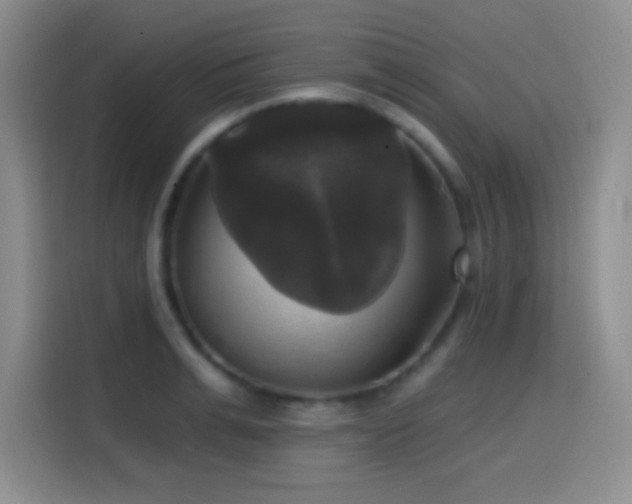 X0000114580991200910191519