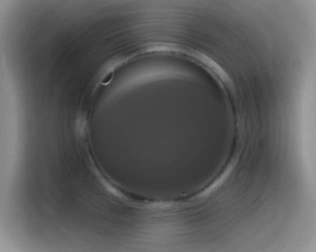 X0000114580993200910191519