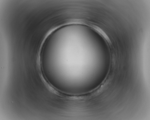 X0000114580996200910191519