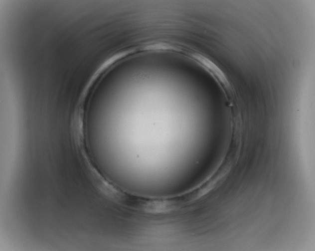 X0000114581000200910191519