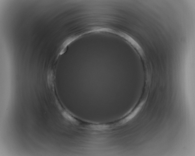 X0000114581001200910191519