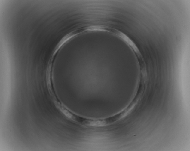 X0000114581002200910191519