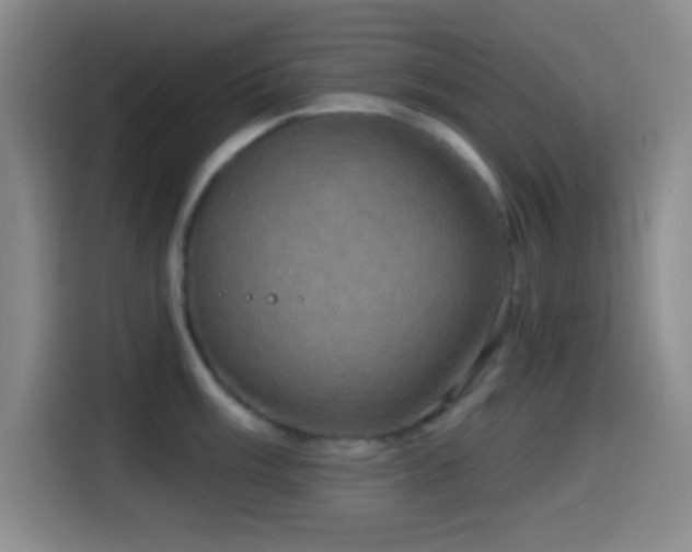 X0000114581003200910191519