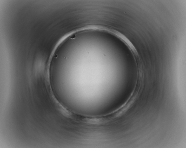 X0000114581004200910191519