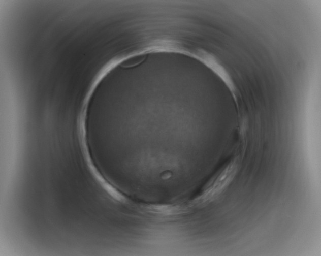 X0000114581005200910191519