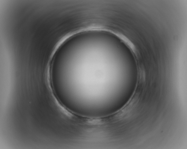 X0000114581006200910191519