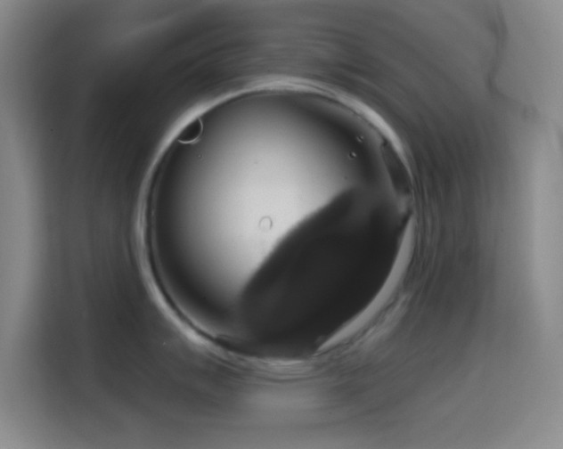 X0000114581007200910191519