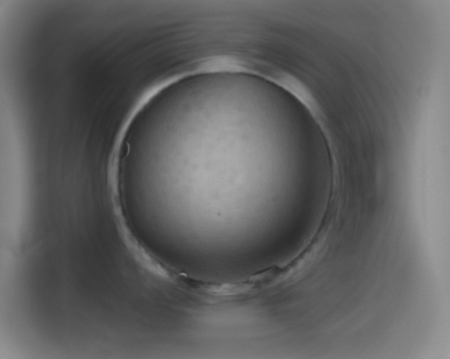 X0000114581008200910191519