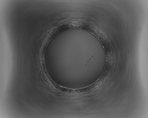 X0000114581009200910191519