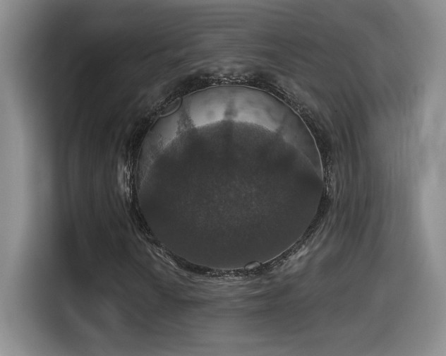 X0000114581010200910191519