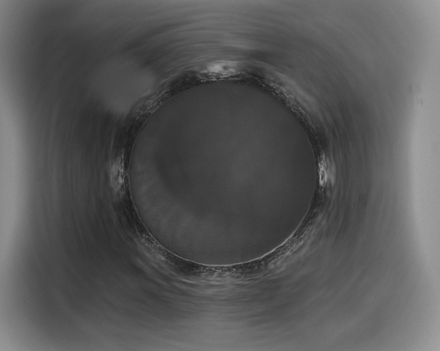 X0000114581011200910191519