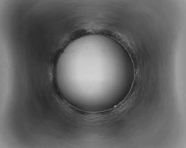 X0000114581012200910191519