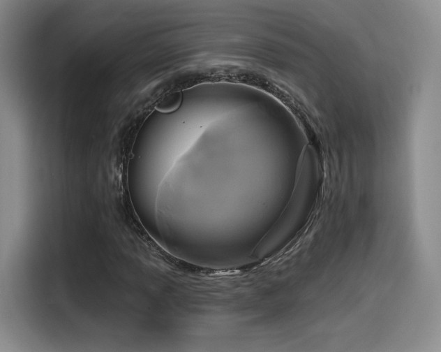 X0000114581013200910191519