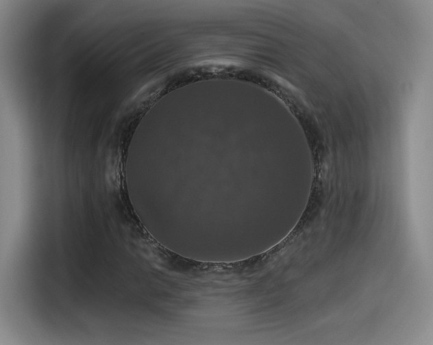 X0000114581014200910191519