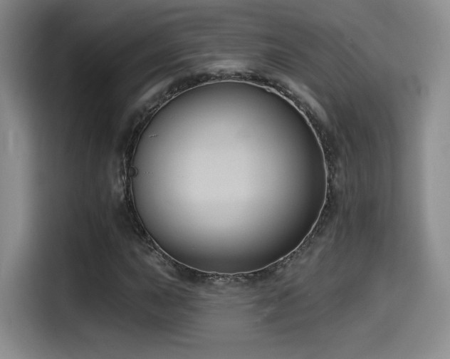 X0000114581015200910191519