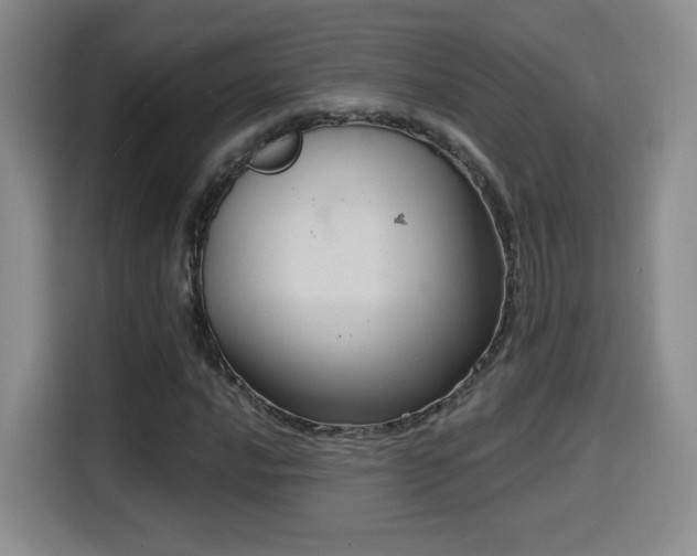 X0000114581016200910191519