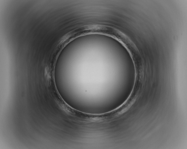 X0000114581017200910191519