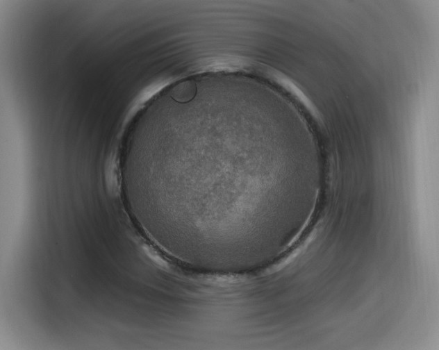 X0000114581018200910191519