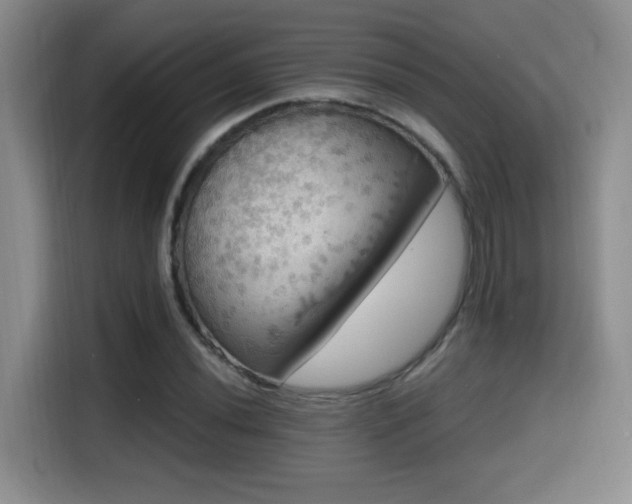 X0000114581020200910191519