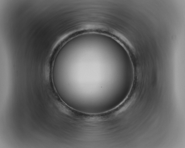 X0000114581021200910191519