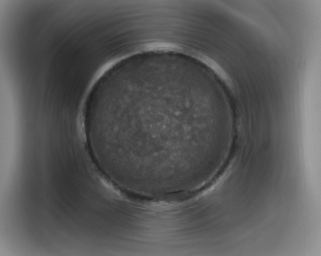 X0000114581022200910191519