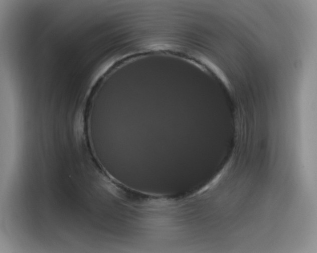 X0000114581023200910191519