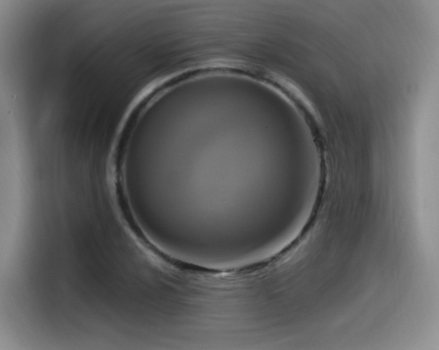 X0000114581024200910191519