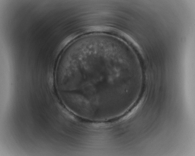 X0000114581025200910191519