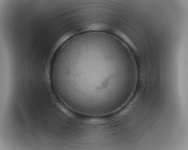 X0000114581026200910191519