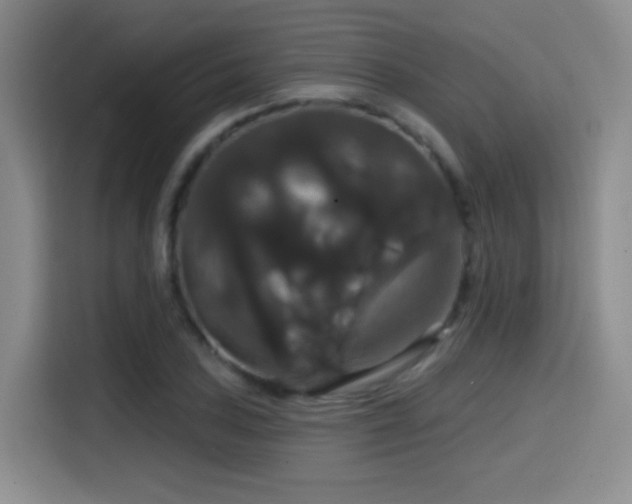 X0000114581027200910191519