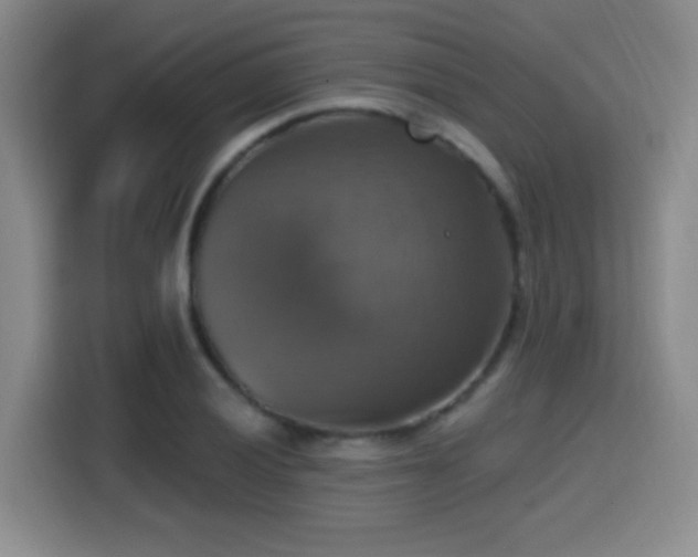 X0000114581028200910191519