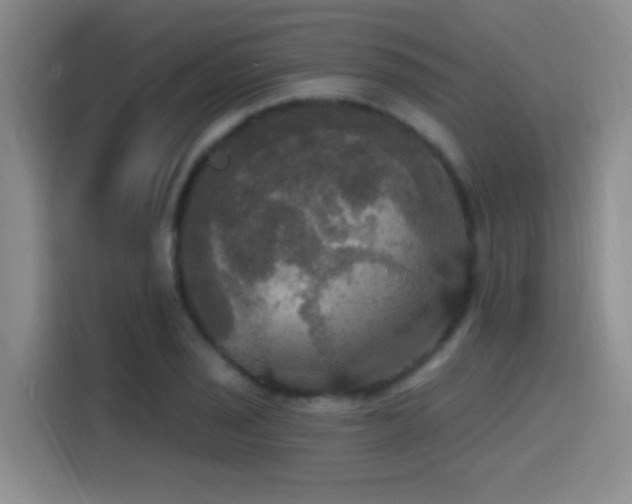 X0000114581029200910191519