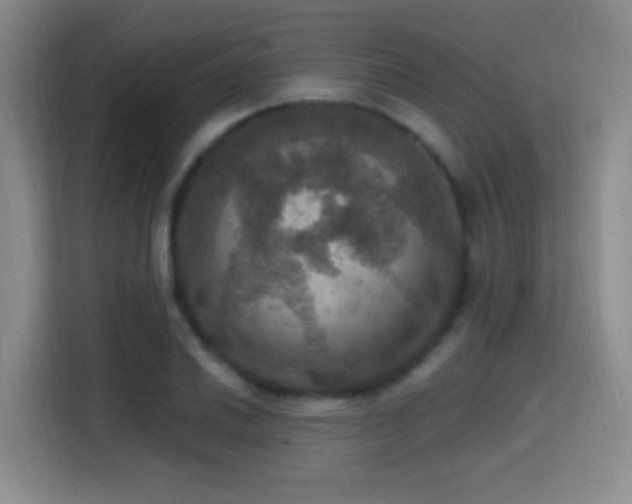 X0000114581030200910191519