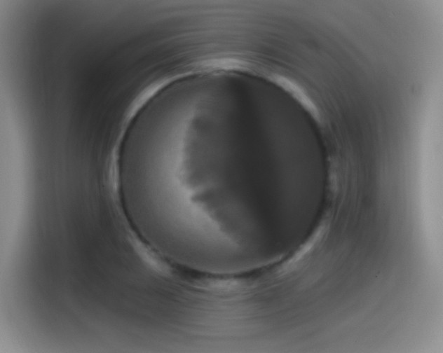 X0000114581031200910191519