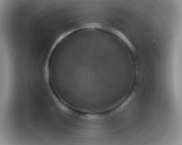 X0000114581032200910191519