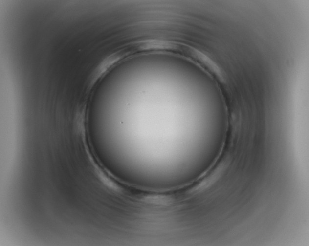 X0000114581033200910191519