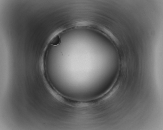 X0000114581034200910191519