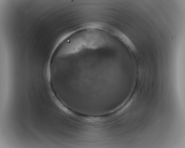 X0000114581036200910191519