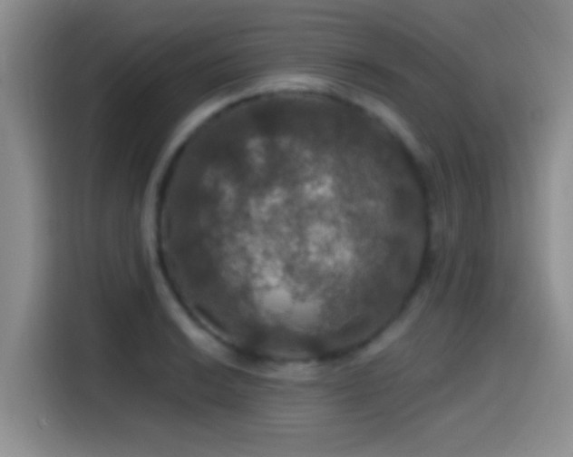 X0000114581038200910191519