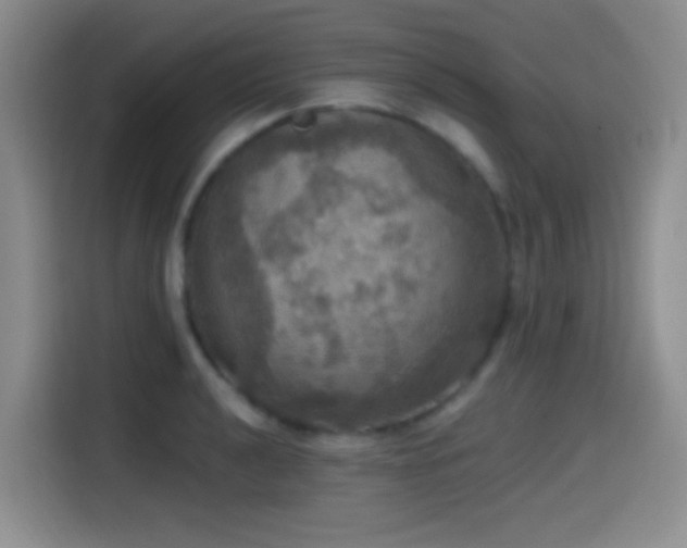 X0000114581040200910191519