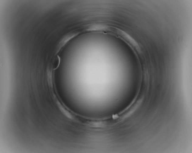 X0000114581041200910191519