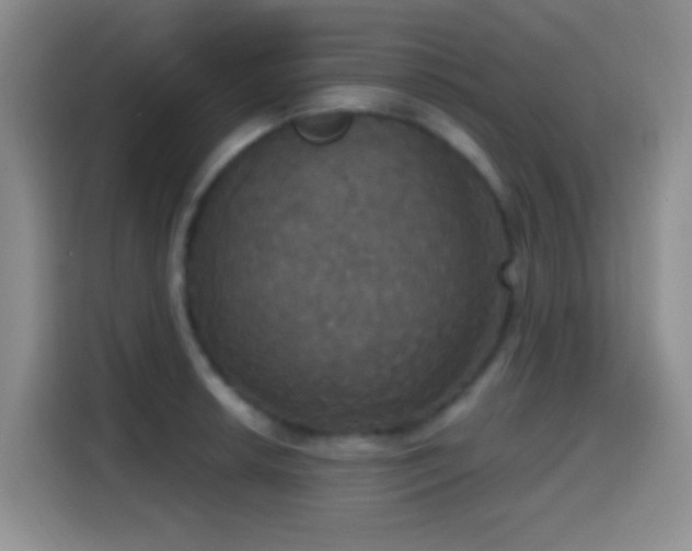 X0000114581042200910191519