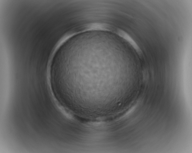 X0000114581043200910191519