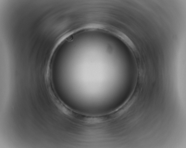 X0000114581044200910191519