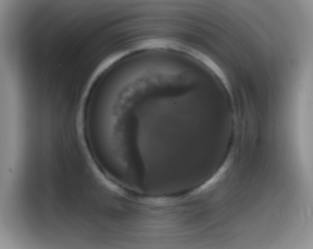 X0000114581045200910191519