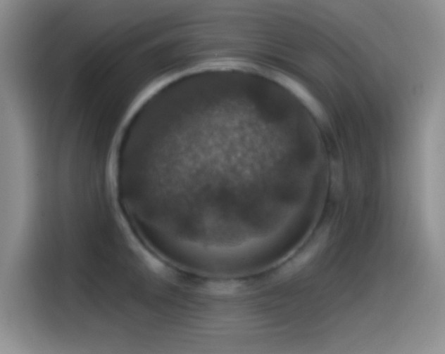 X0000114581046200910191519