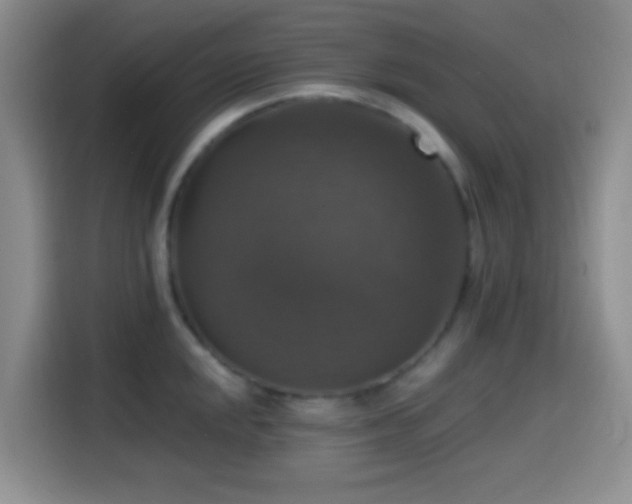 X0000114581048200910191519