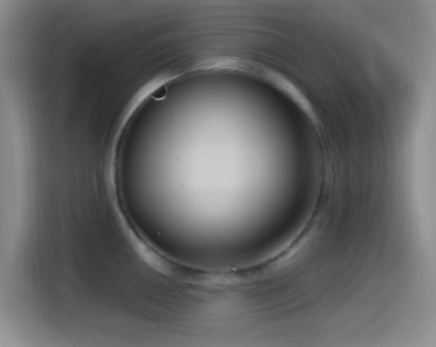 X0000114581050200910191519