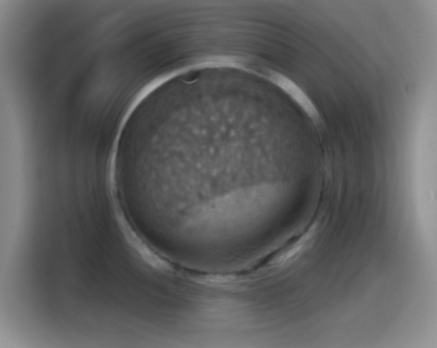 X0000114581052200910191519