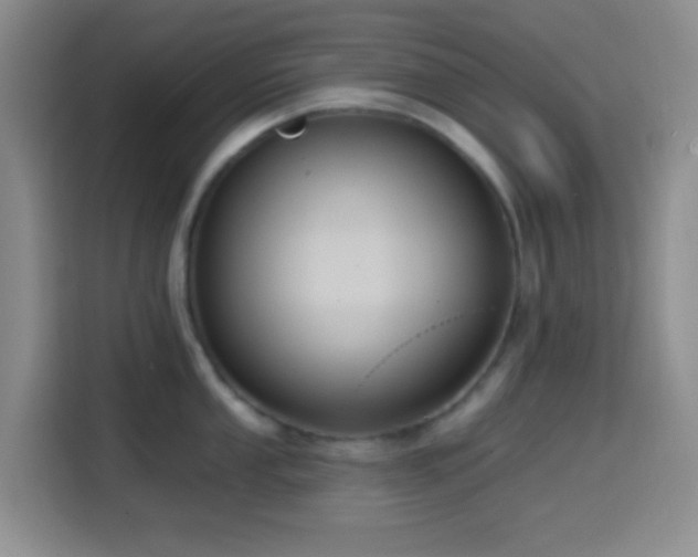 X0000114581053200910191519